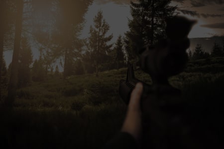 FPS 模式 (GameVisual OFF)