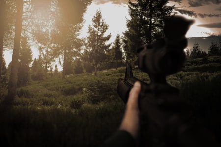FPS 模式 (GameVisual ON)