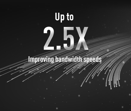 2.5Gb 有线网卡