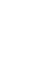 NLO