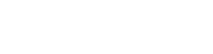 Team Vitality 文字商标