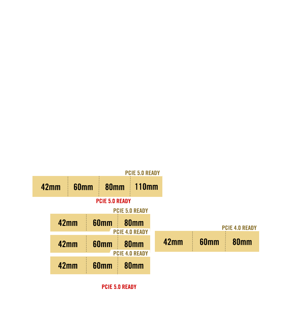 PCIe 5.0 支持图