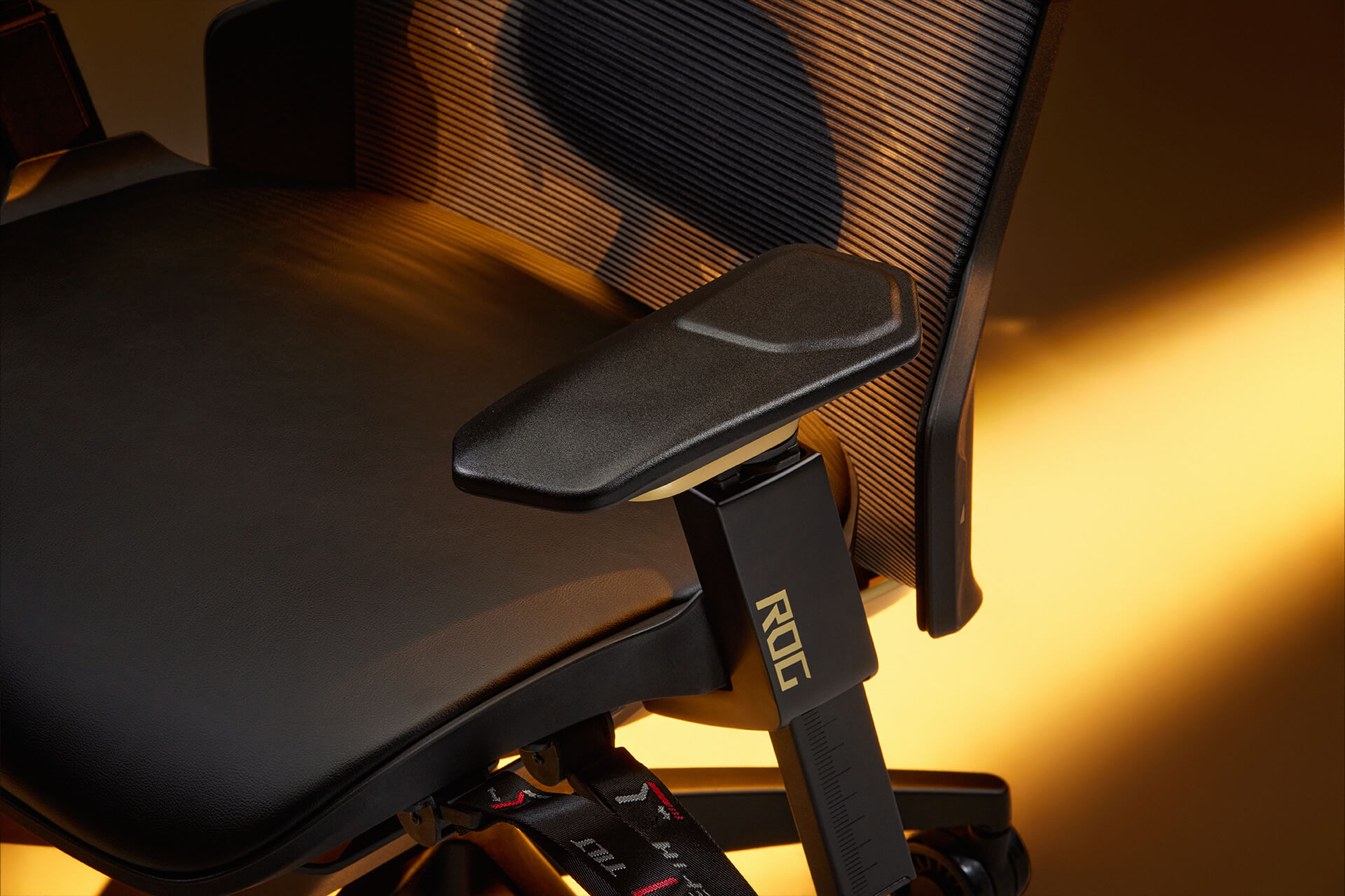 Close-up side view showcasing the exclusive anniversary details of the ROG Destrier Edition 20