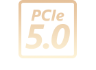 PCIe 5.0 标志