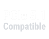 支持 PCIe Gen 5.1