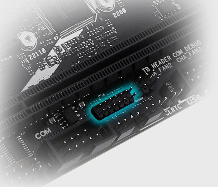 Features Thunderbolt™ USB4 header