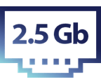 Realtek 2.5G 有线网卡 logo