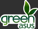 Green ASUS logo