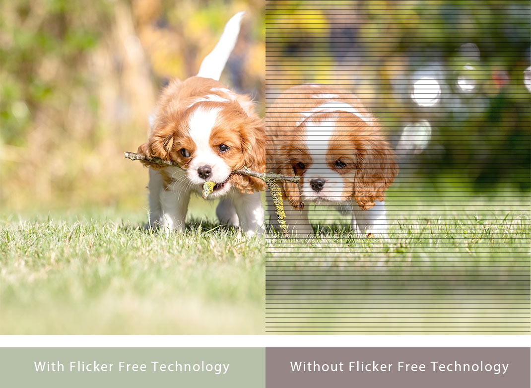 Flicker-free Technology