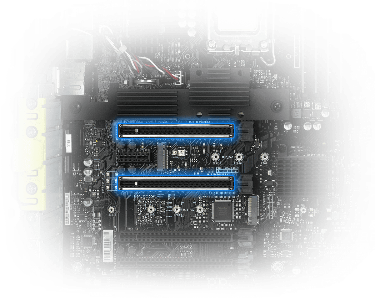 两个 PCIe 5.0 通道