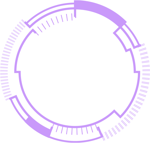 The decorative image of circle for cpu