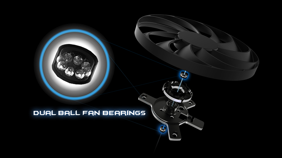 Dual ball bearing diagram