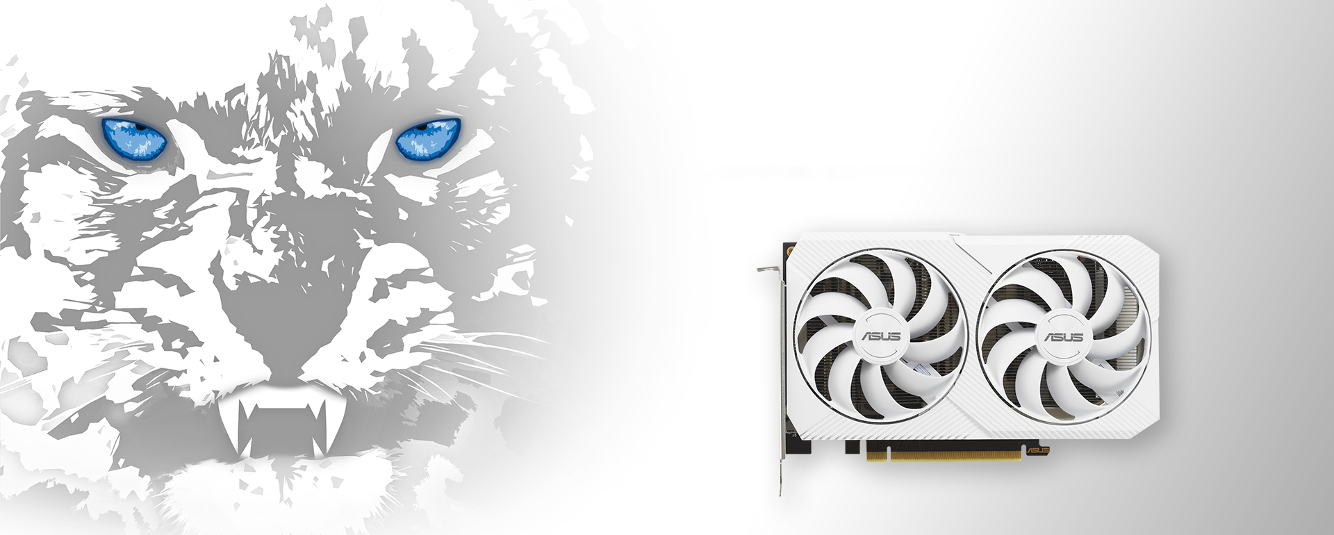 Angled top down view of the ASUS Dual GeForce RTX 3060 white edition graphics card