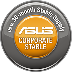 ASUS Corporate Stable Model