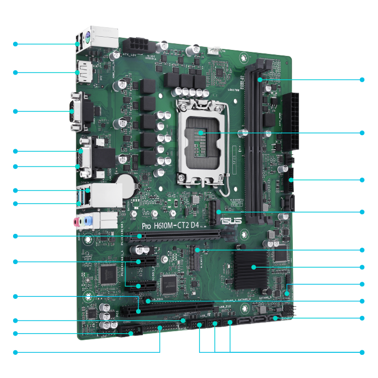 Pro-H610M-CT2-D4-CSM