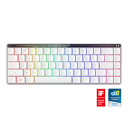 ROG 魔导士 RX Low Profile