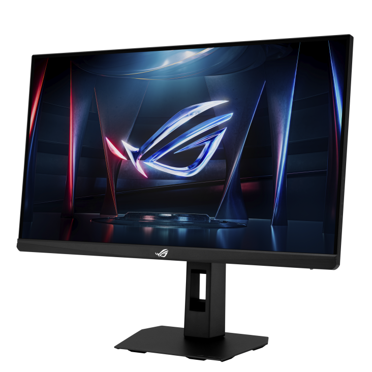 XG259QNGR front view to the left tilted 45 degrees