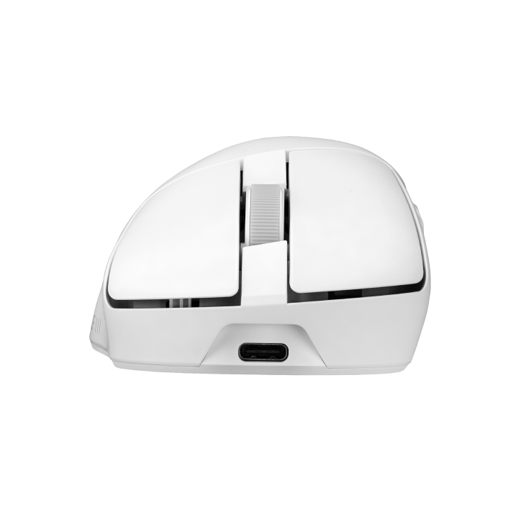 Gladius IV Ace Moonlight White from a front view perspective