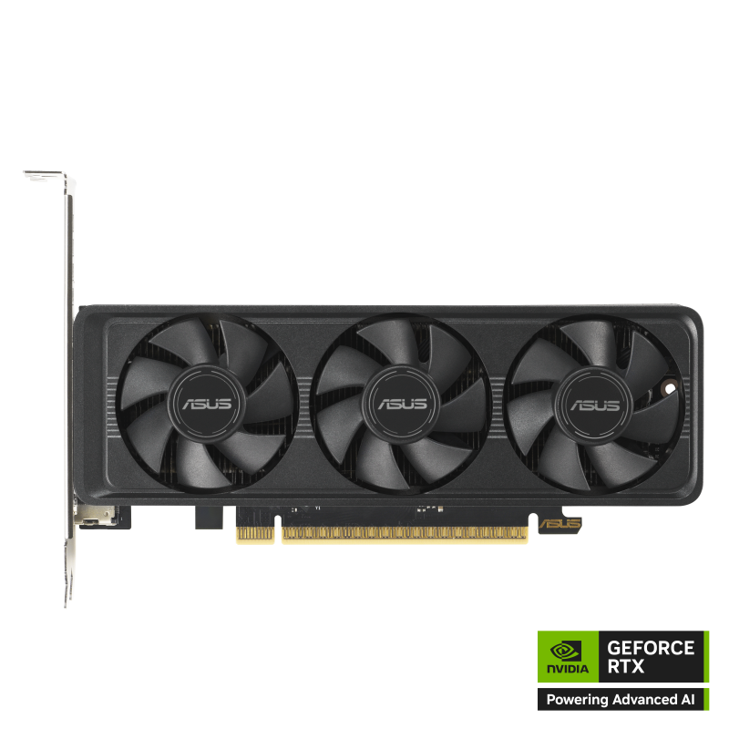 ASUSGeForce RTX 5060 LP BRK front view black NVIDIA logo